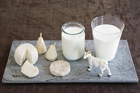 2022年世界牛奶日·全國乳品營養(yǎng)周專稿——科普羊奶營養(yǎng)，推進(jìn)全民健康